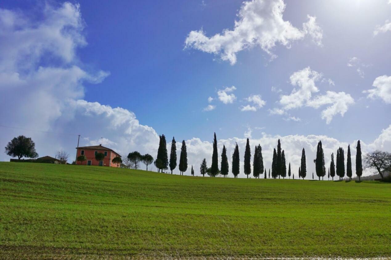 Апартаменты Casa Dante Vivo d'Orcia Экстерьер фото